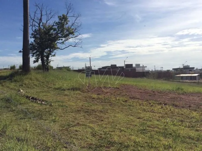 Venda de Terreno / Padrão na cidade de Araraquara