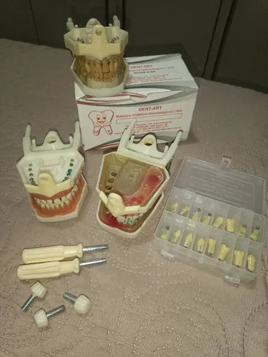 Manequins odontológicos DentArt - Perio, Endo e Dentística/fixa + kit dentes DentArt