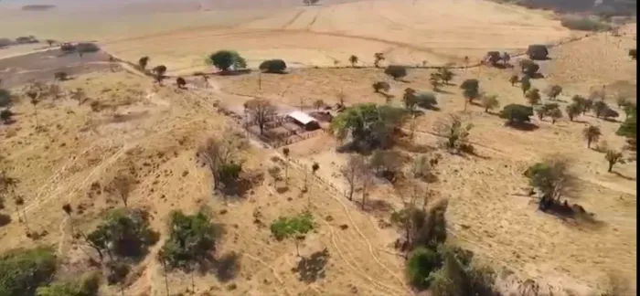 Fazenda de 65 alqueires em Caturai-GO