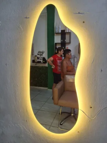 Orgânicos 