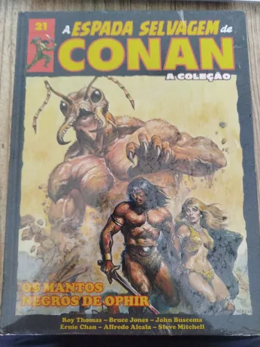 A espada selvagem de conan 21