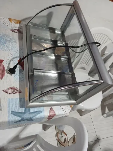 Eletricos