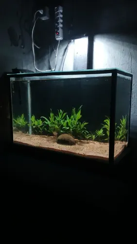  Aquário de 100 litros