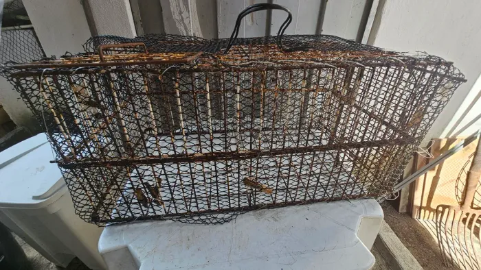 Gaiola para pequenas aves ou roedores 