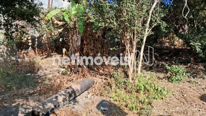 Venda Lote-Área-Terreno Acaiaca Belo Horizonte