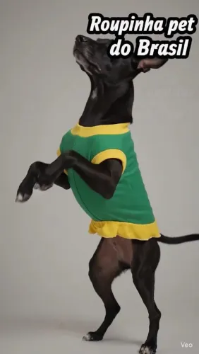 Roupinha para pet do Brasil