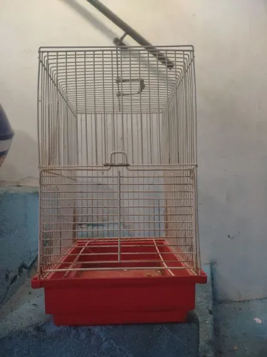 Vende-se gaiola para ramister 