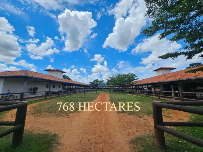 FAZENDA À VENDA - 768 HECTARES - CORDISBURGO (MG) COMPLETA