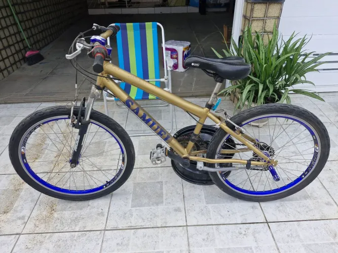 Bicicleta aro 24