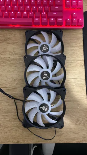Fans Rgbs