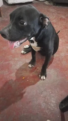 Doação