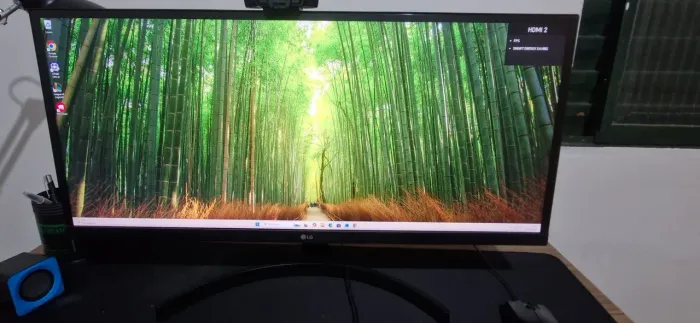 Monitor UltraWide LG 29'