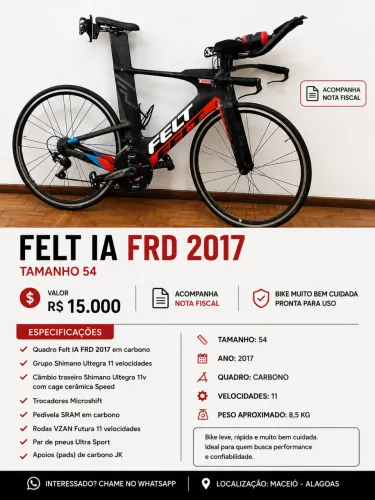 FELT IA FRD 2017