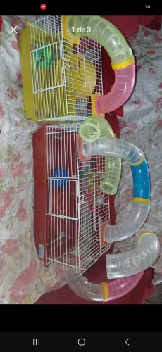 Gaiola de hamster