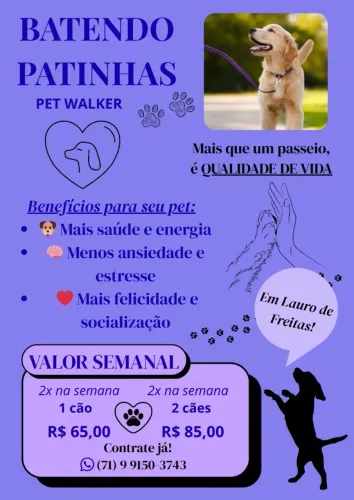 Passeio com seu pet