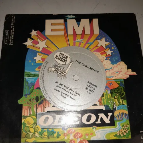 Disco de Vinil 