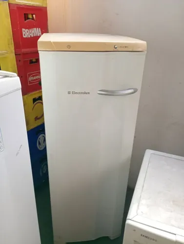 Freezer vertical