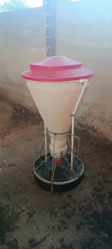 Comedouro para suíno