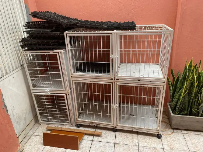 Itens veterinária