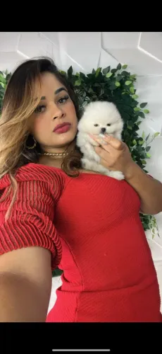LULU DA POMERÂNIA URSINHO