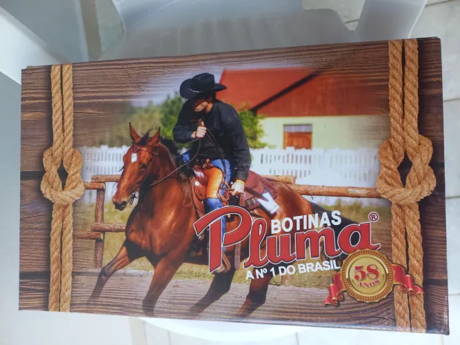 Bota Pluma