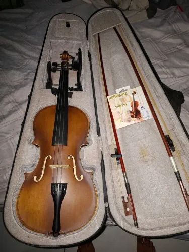 Violino