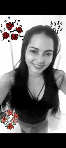 Diarista 