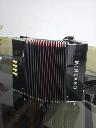 Acordeon Minuano 8 baixos