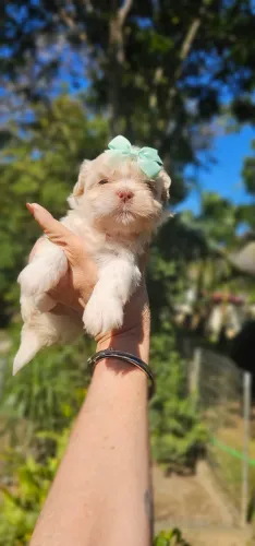 Bebezinha linda demais!