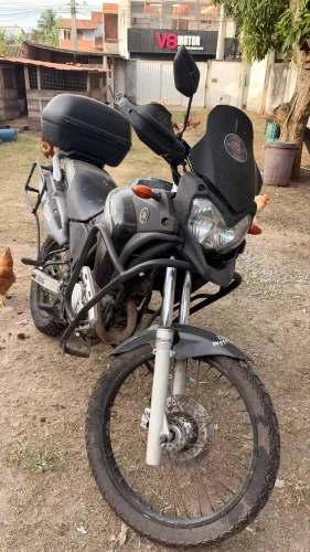 TENENE 250