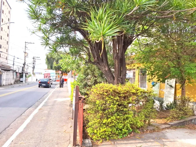 Terreno residencial para venda em Chora Menino, 366m²