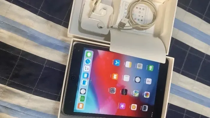 iPad Mini 2