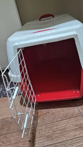 Casinha pet número 4