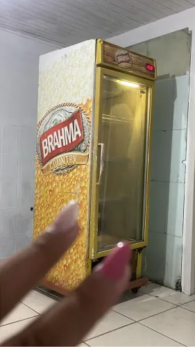Cervejeira expositor 