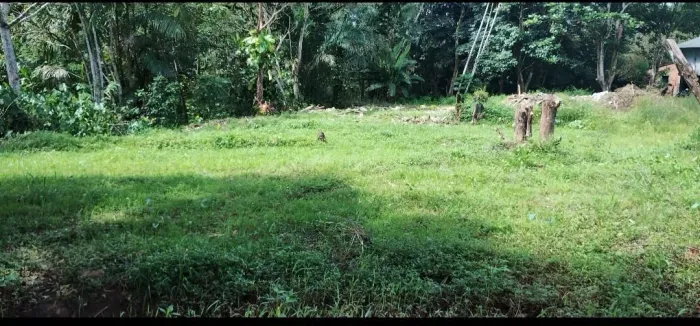 Terreno no Centro do Tauá 
