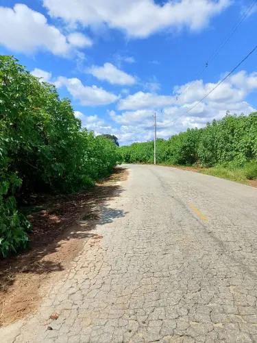 Vendo casa em Santa Luzia