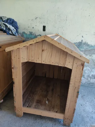  Duas casa de cachorro por 250 cada