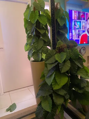 Vendo 2 plantas artificiais 250$ cada (vaso não incluso)