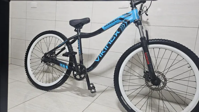 Vikingx aro 29