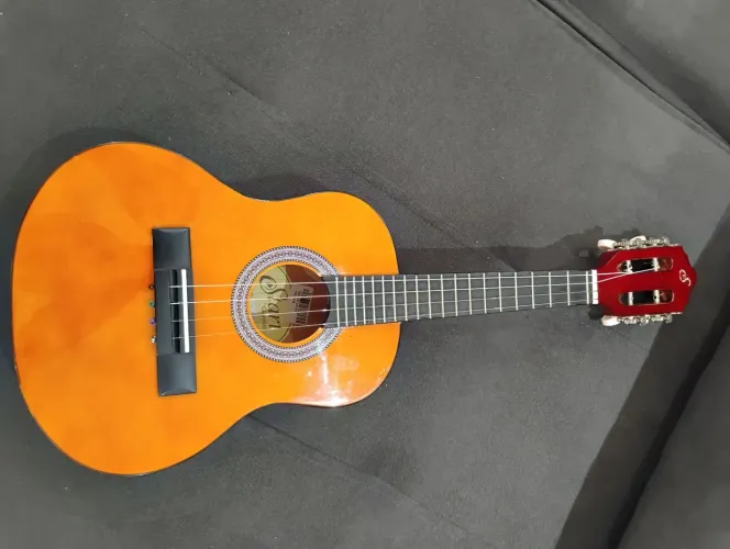 Cavaquinho Gianini 