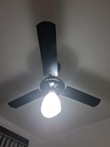 Ventilaador de teto 3 pás preto com luminária - motor grande