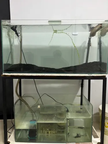 Aquário 200L com sump completo