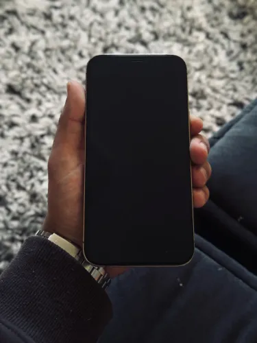 iPhone 12 PRO MAX - 256 GB