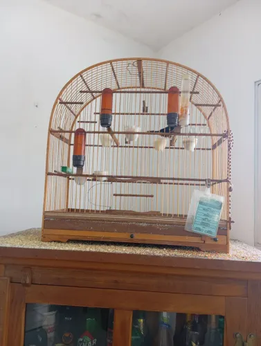 Gaiola de criação de curió, coleira, bicudo