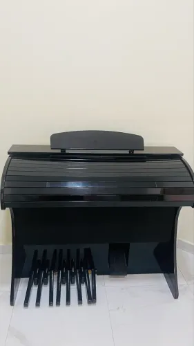 Órgão musical