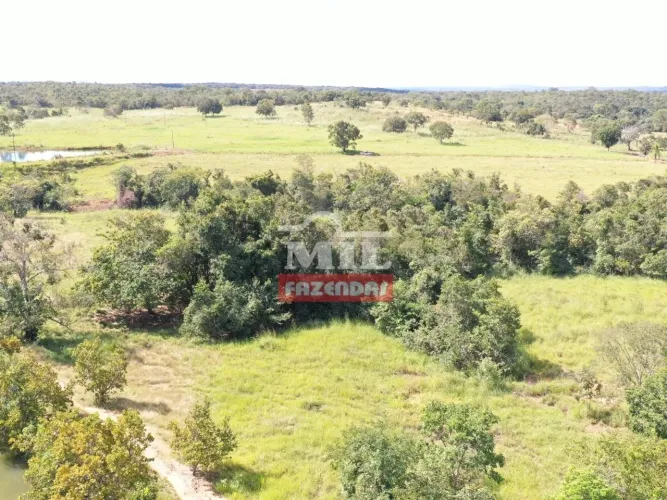 Fazenda Extra em Mara Rosa-GO. (65 Alqueires)