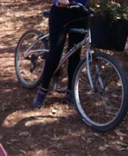 Bicicleta Caloi Sport 100 aro 26