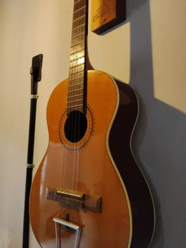 Viola