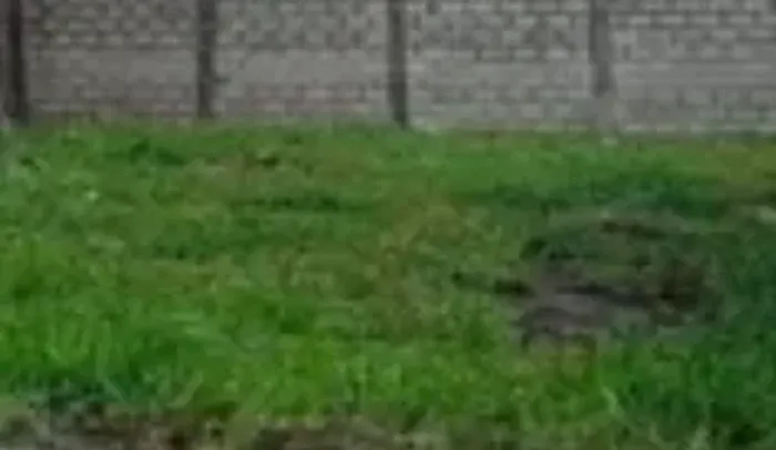 Terreno no planalto palmeira