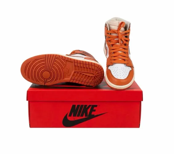 Nike Air Jordan 1 Retro High OG Starfish